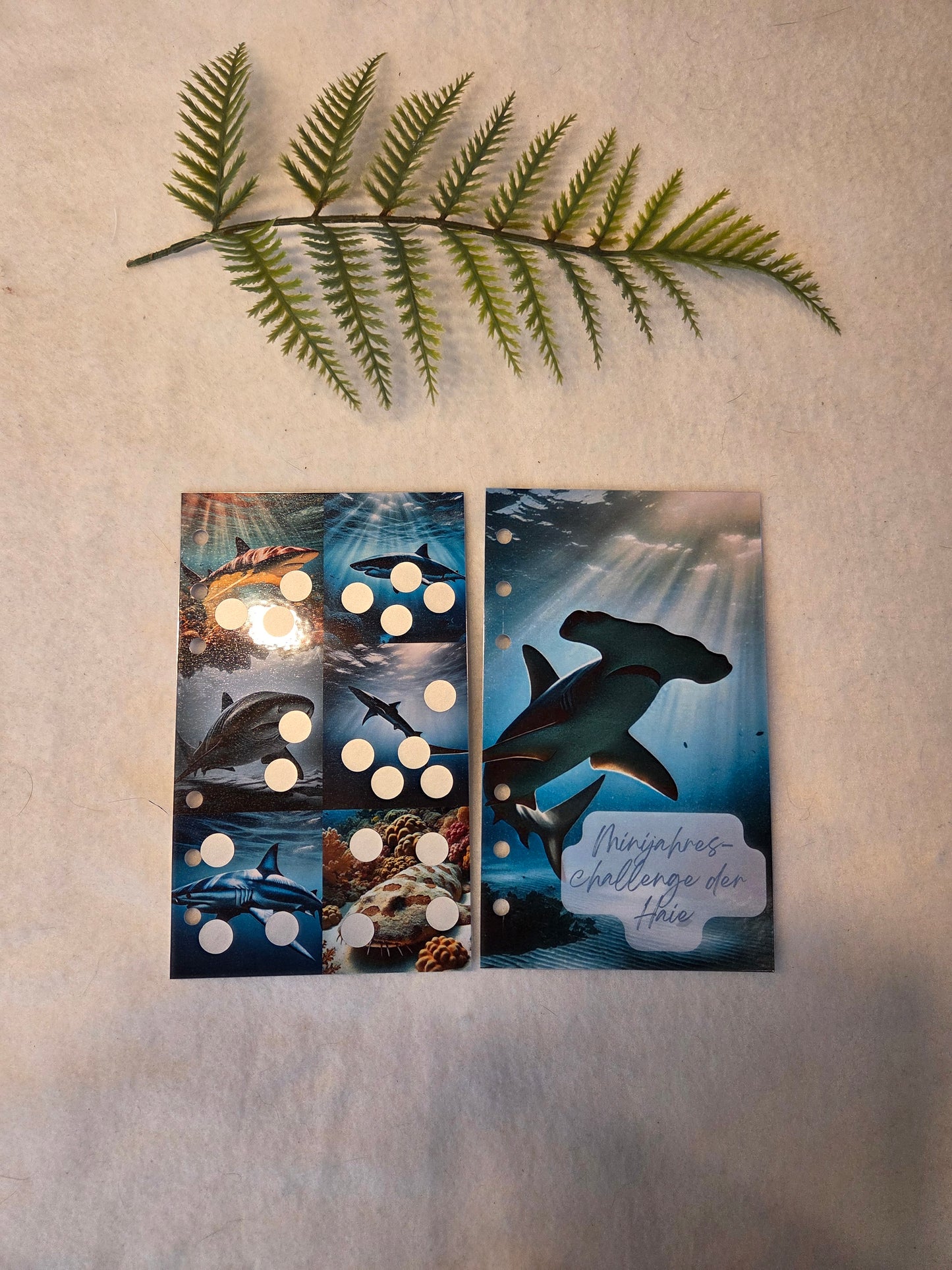 Minijahresschallenge der Haie
