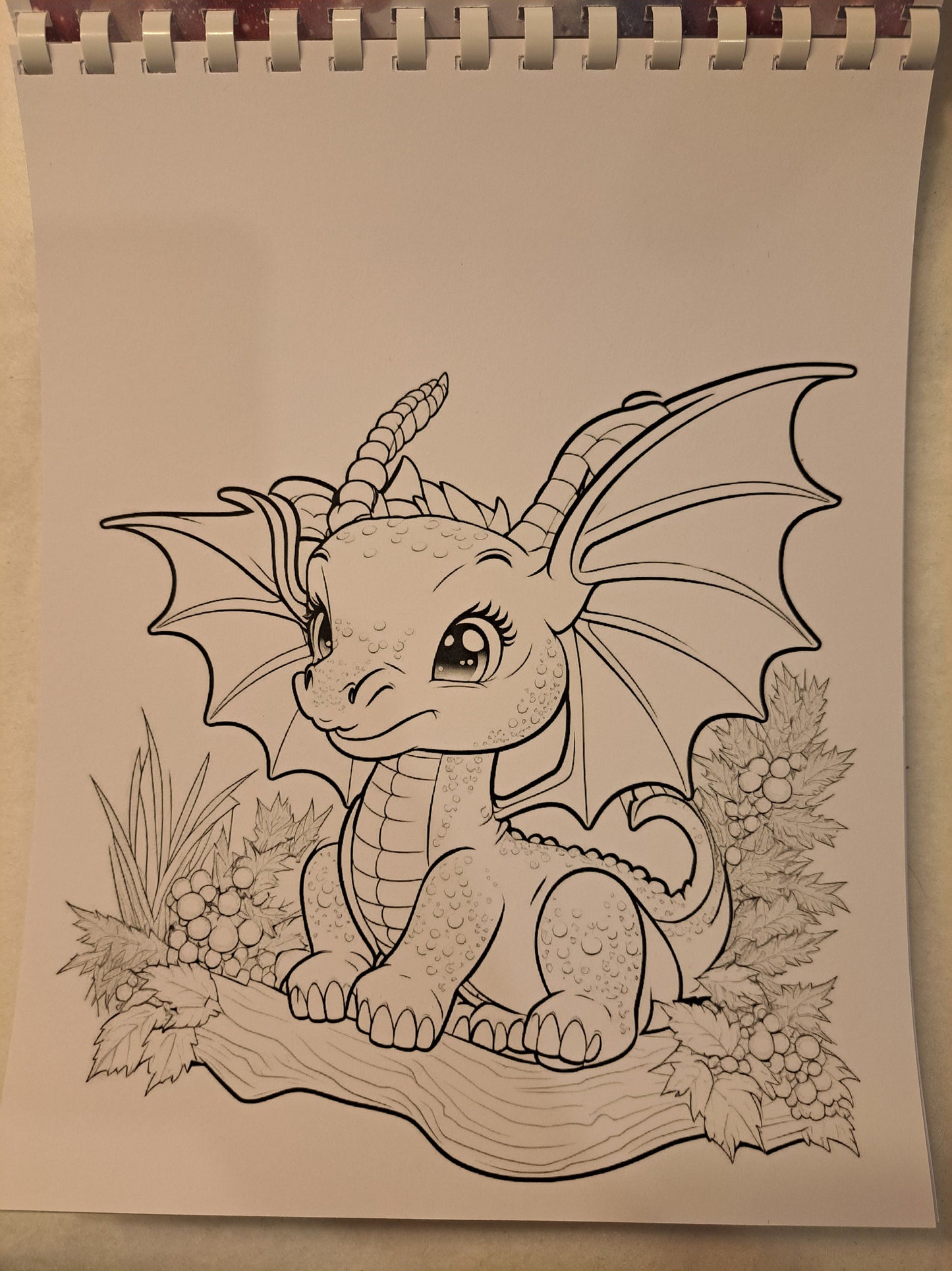 Ausmalbuch Drachen
