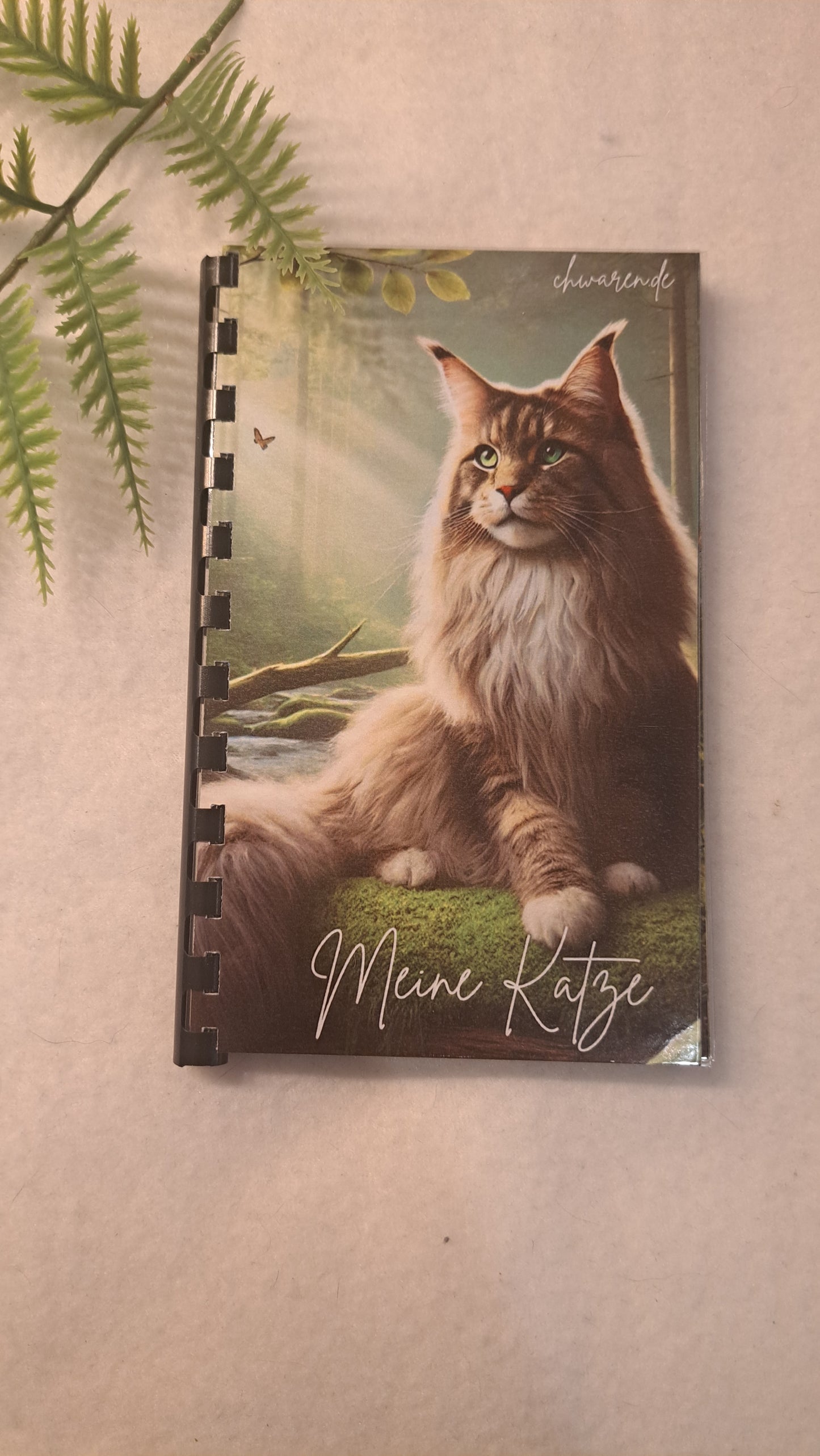 Mein Katze