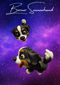 Berner Sennenhund