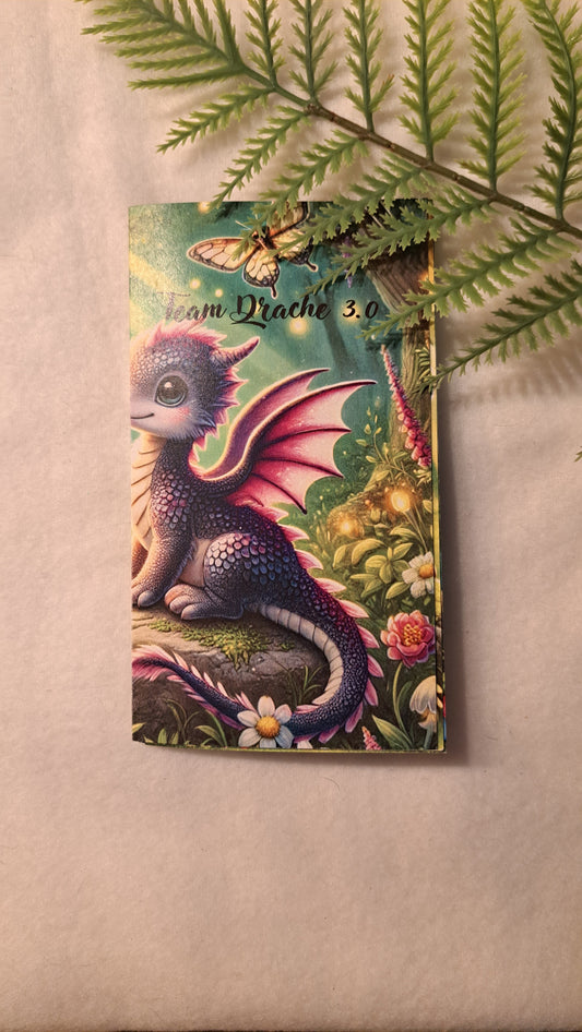 Team Drache 3.0