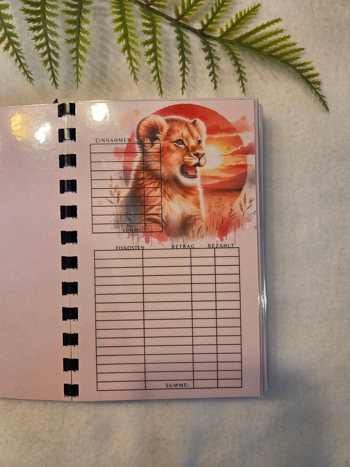 Budgetplaner Löwen