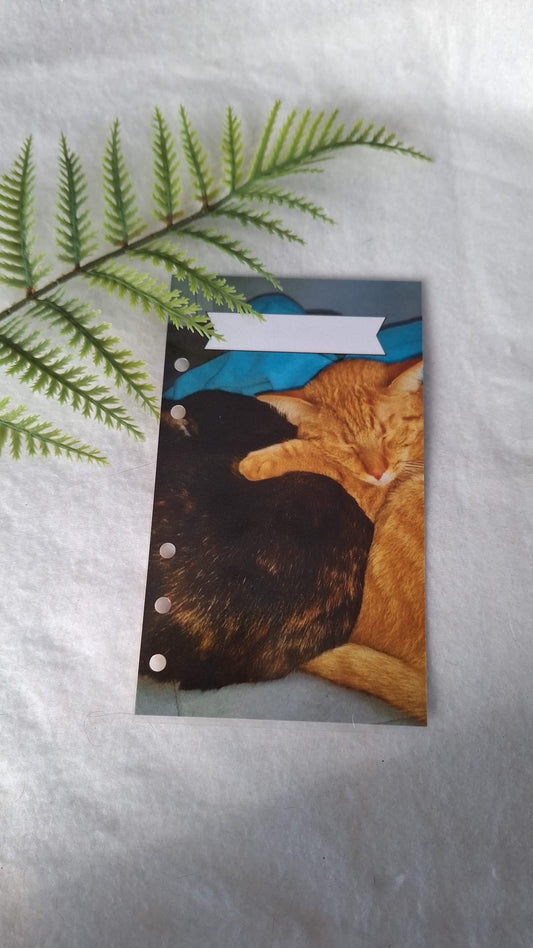 personalisiertes Deckblatt