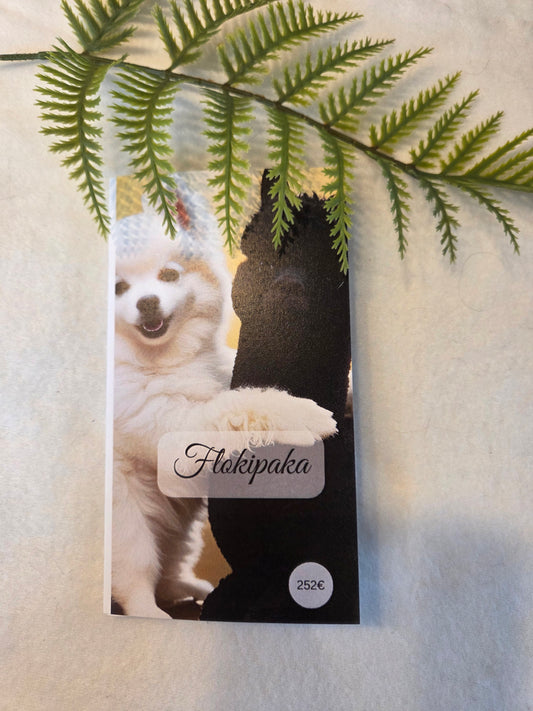 Flokipaka