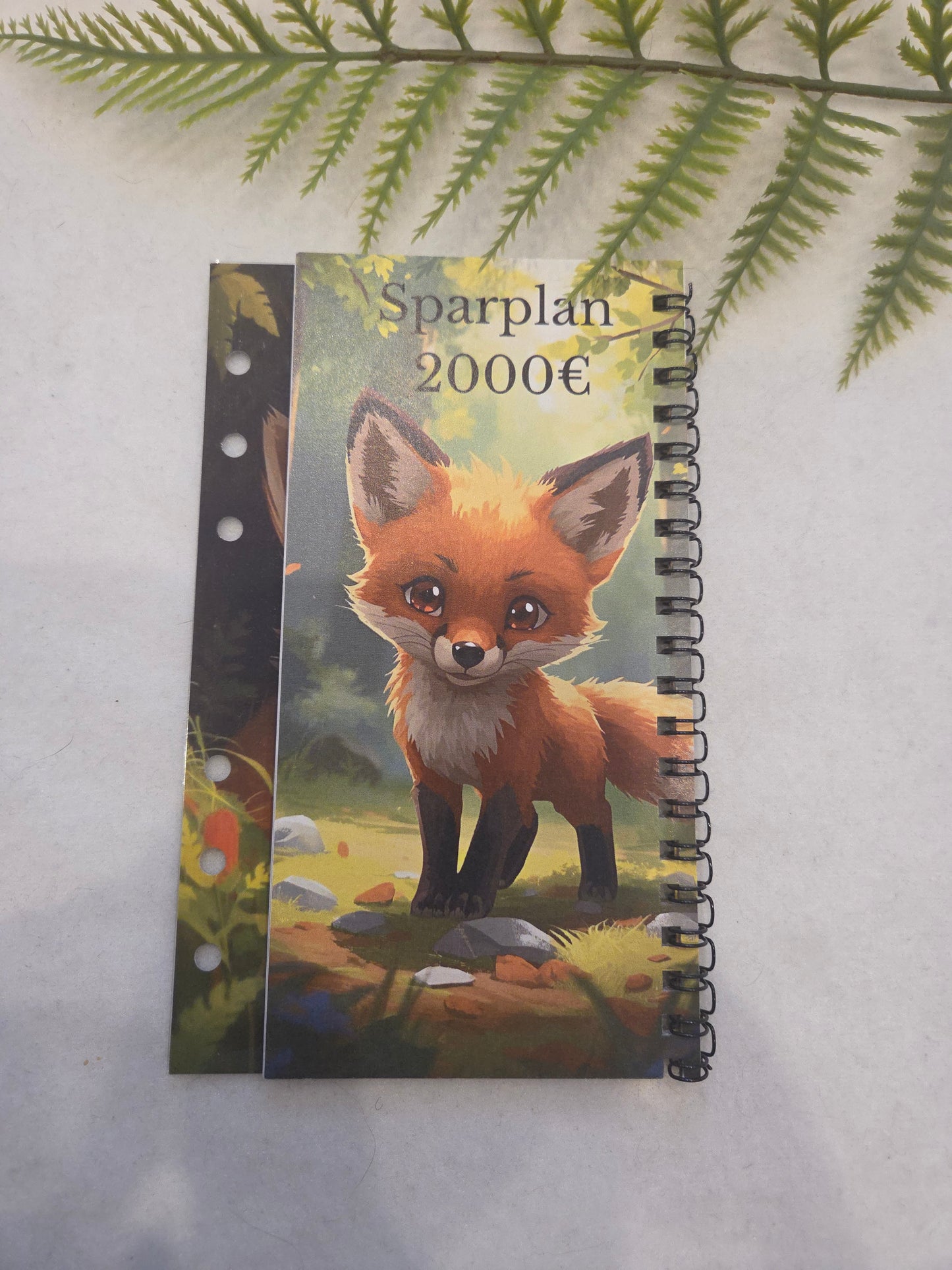 Sparplan 2000 €