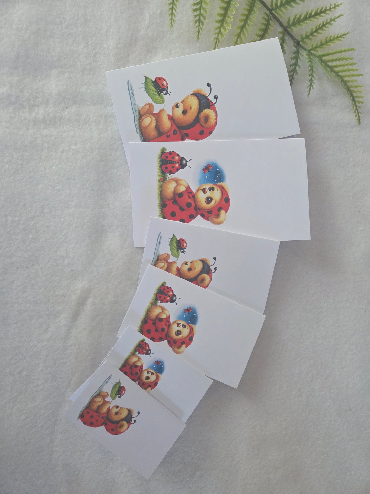 Klein Bärchen Zusatzset